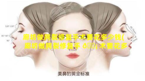 廊坊做腭裂修复手术要花多少钱(廊坊做腭裂修复手 🐡 术要花多少钱费 🐅 用)